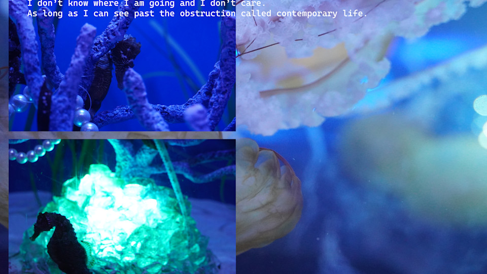 How to Get the Public Engaged with Contemporary Art