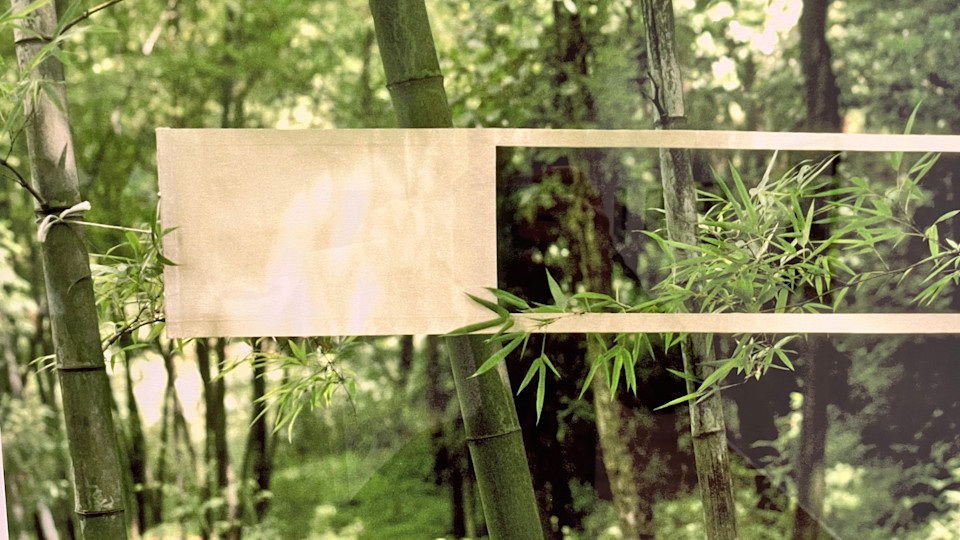 Carl Cheng: Nature Never Loses Exhibition