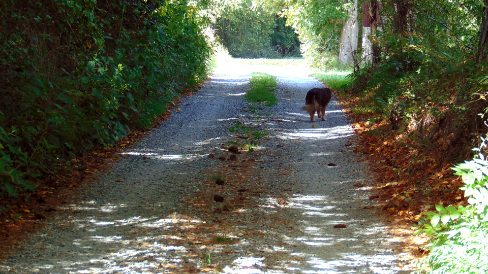 Northern Neck Artisan Trail