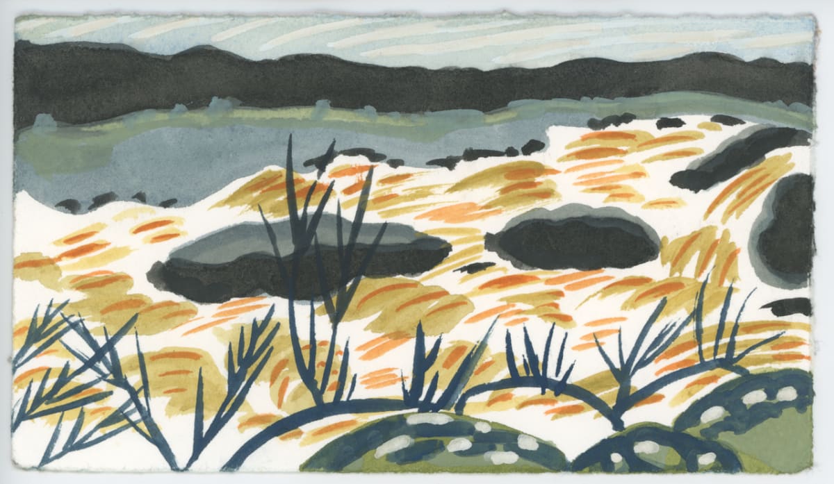 Wild Water, #1543 by Raya Bodnarchuk 