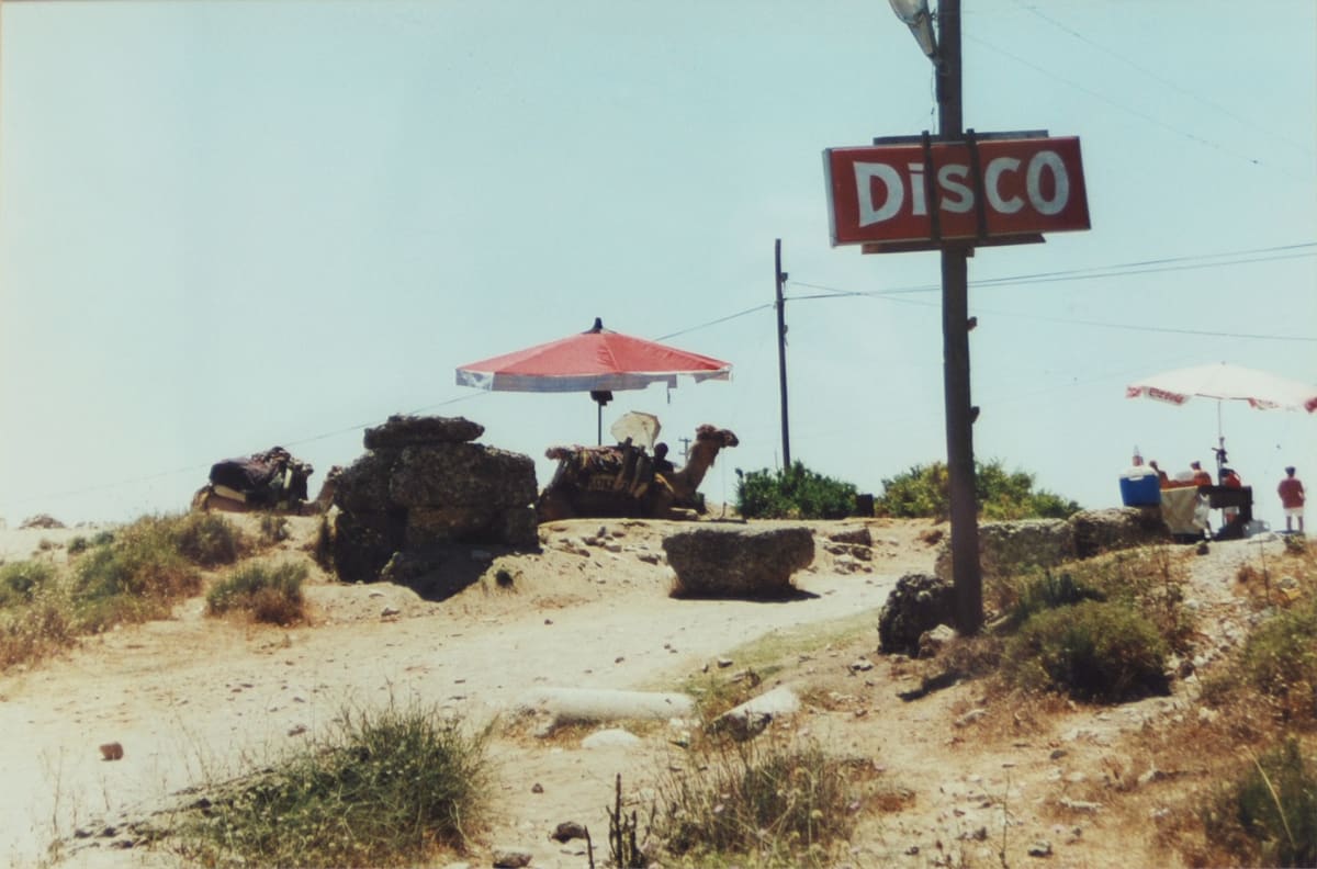 Camel Disco by April Price 