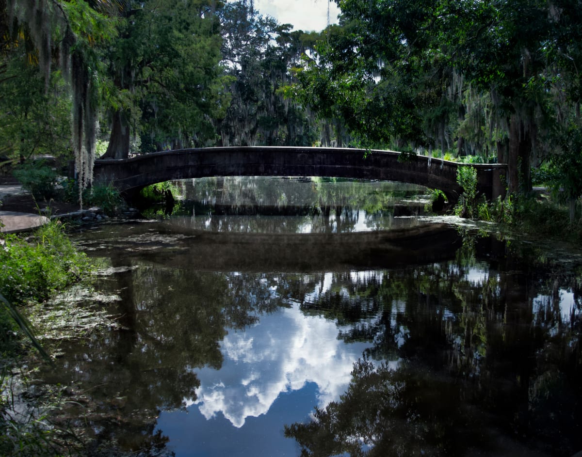 Reflecting Bridge by Cheryl Sperling 