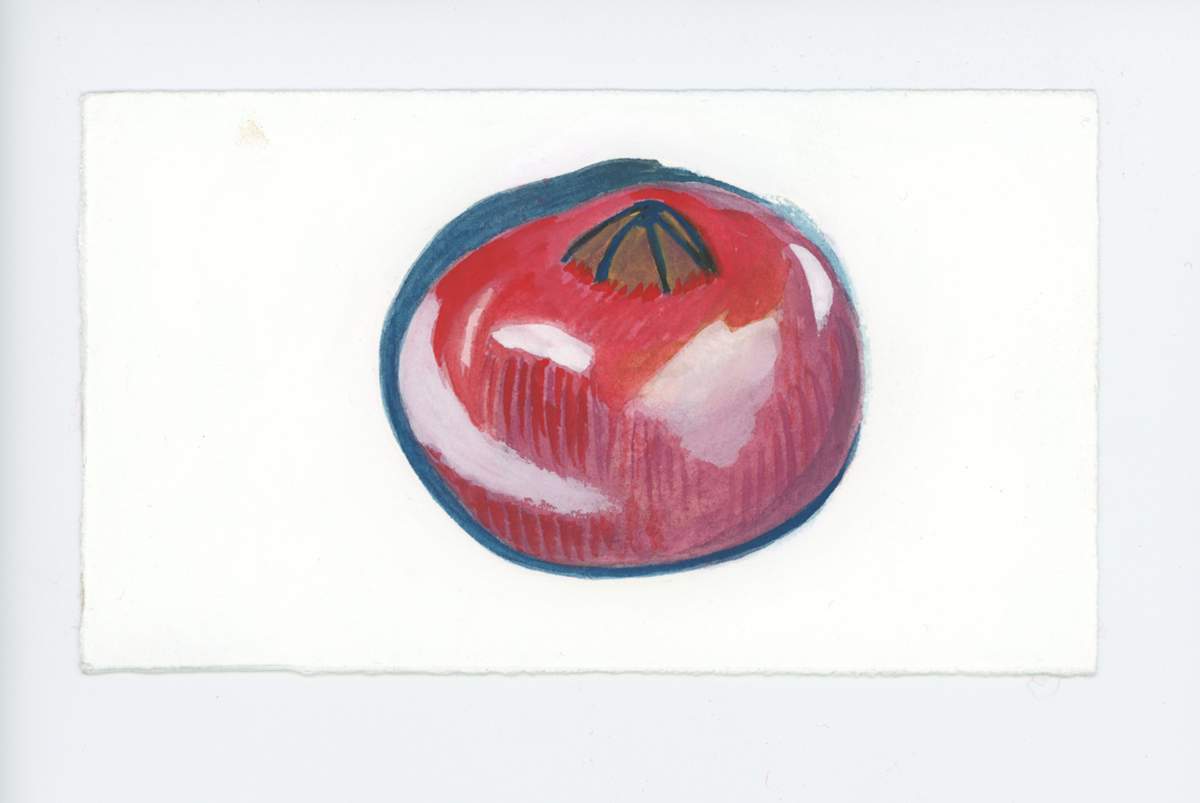 The Pomegranate, #1803, Image 1.