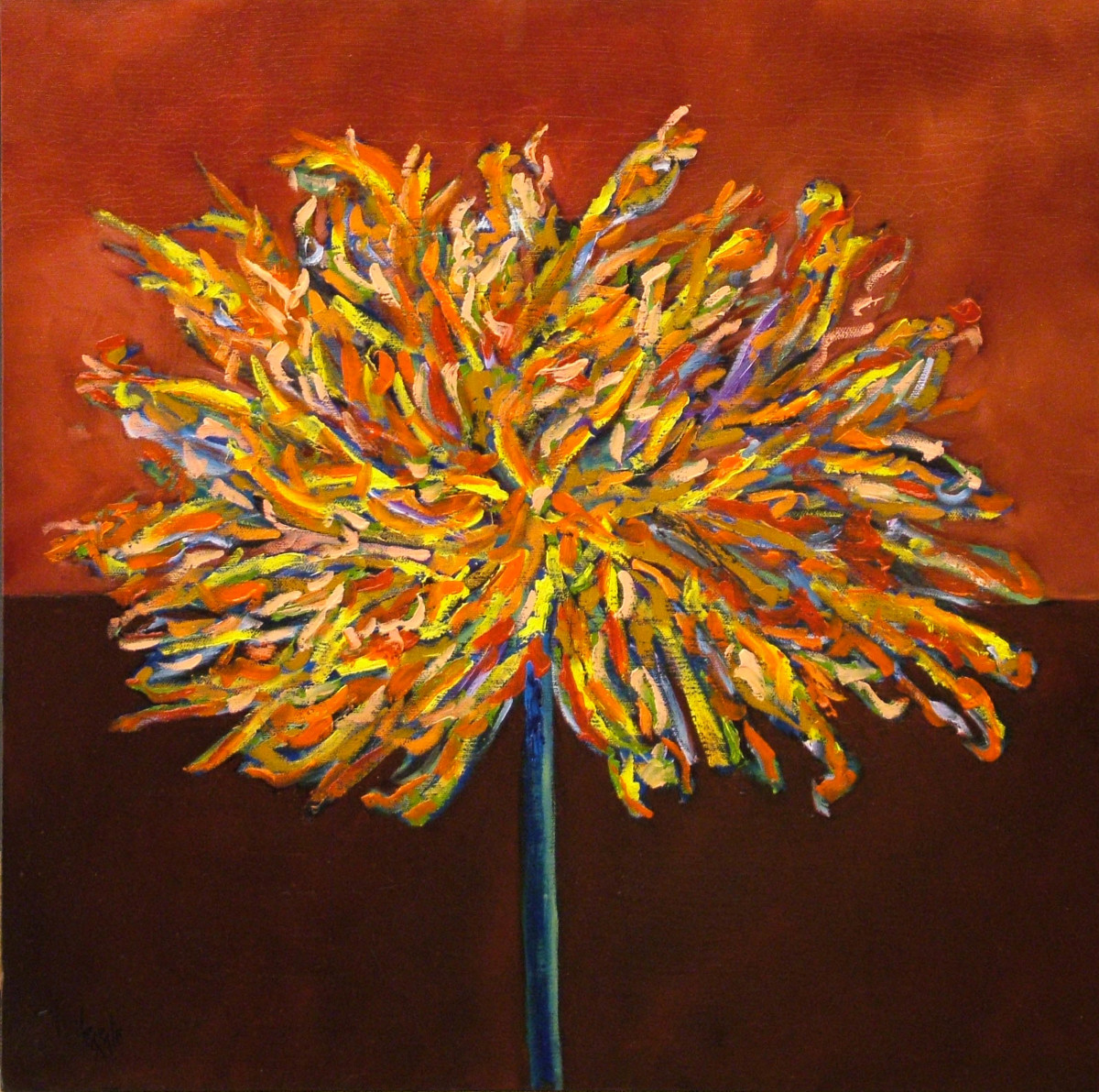 F510 by Clemente Mimun 