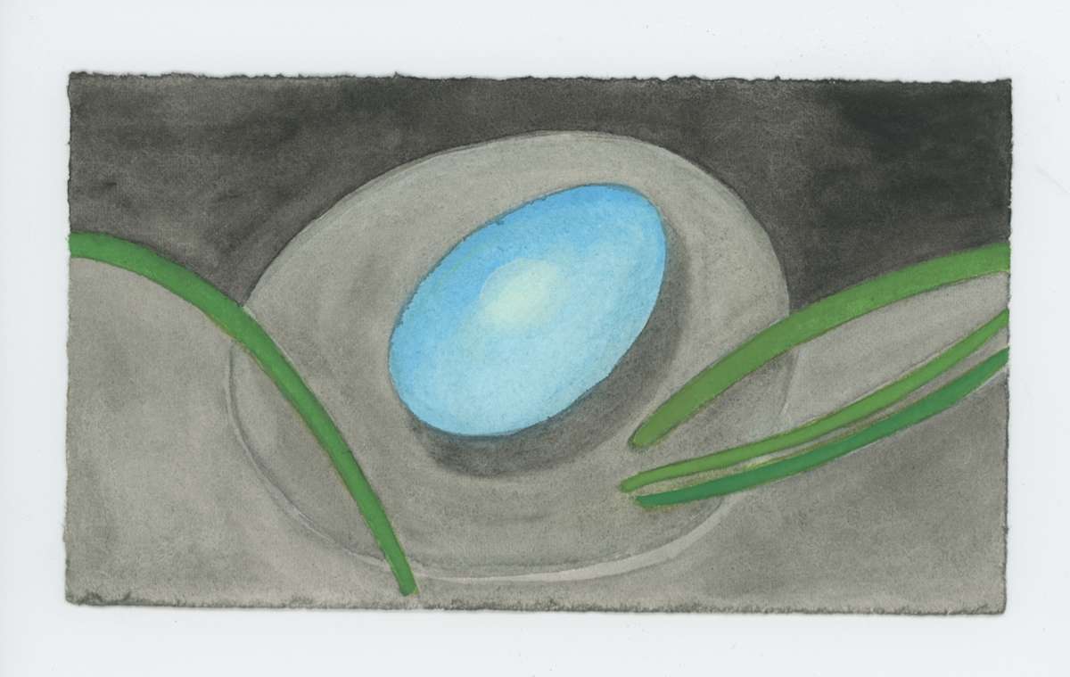 A Robin's Egg #1915, Image 1.