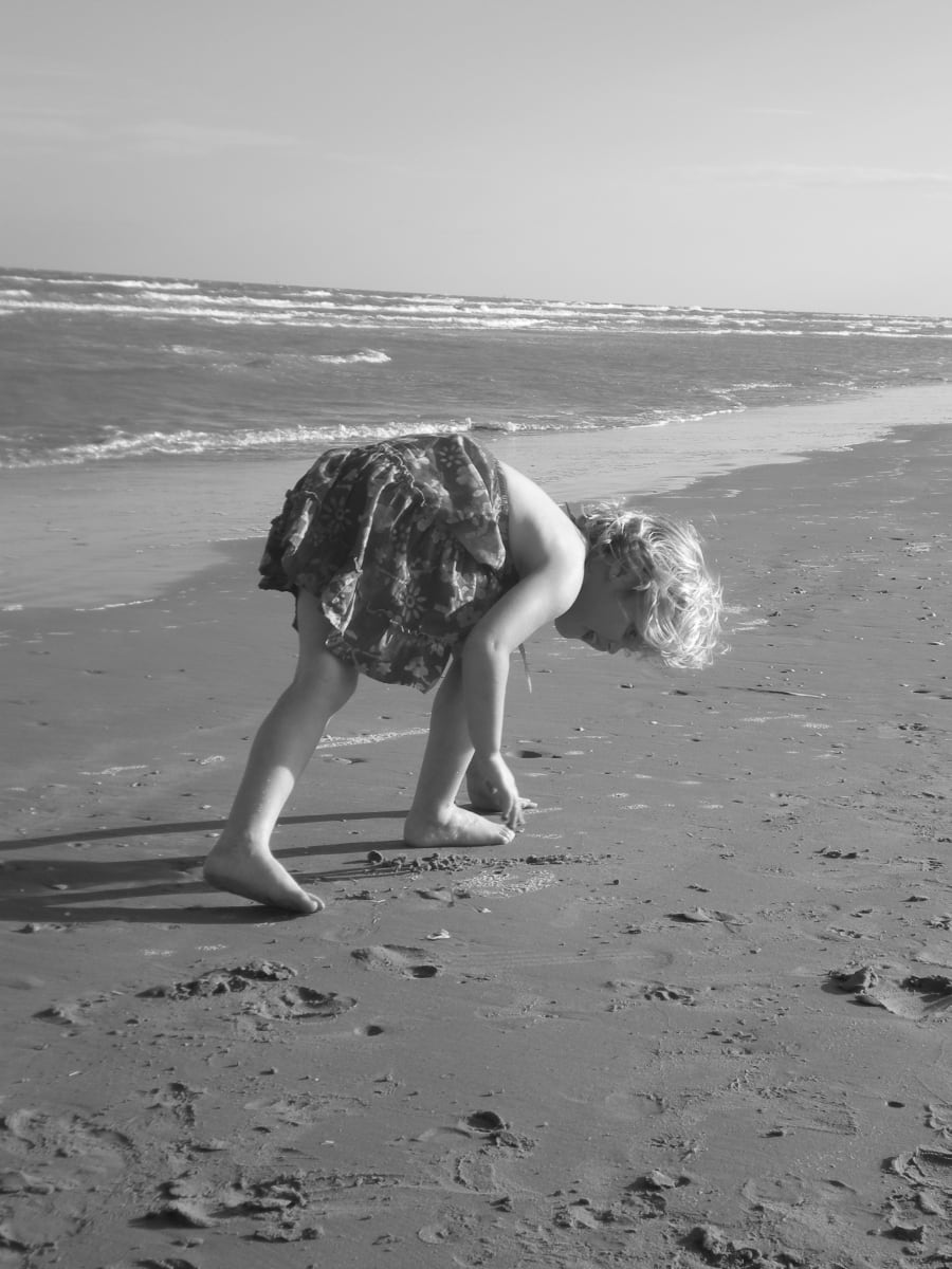 Seashells by Sara Wolfe 