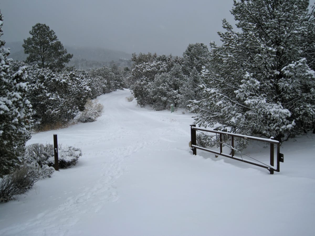 Gateway in Snow by Robert G. Grossman, MD 