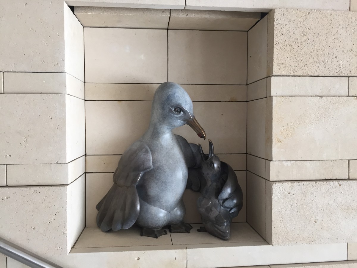 Seagull by Pokey Park 