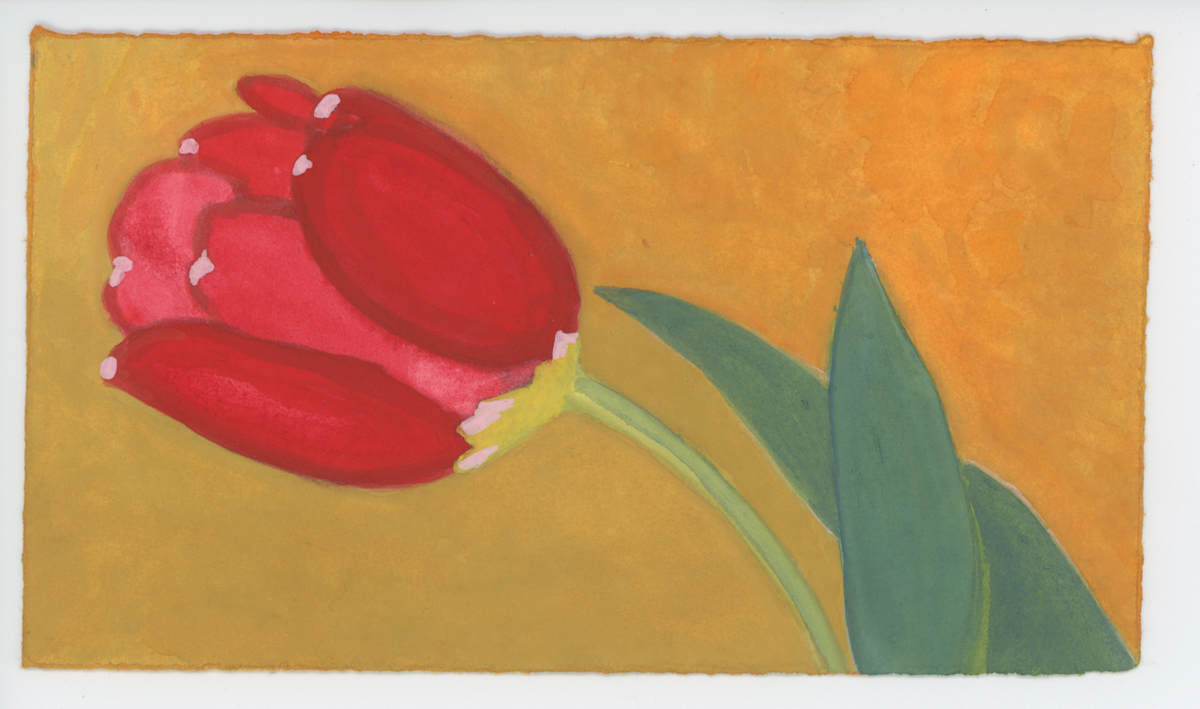 Tulip in April, #1600, Image 1.