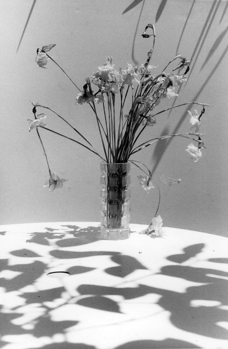 Narcissus by Toby Kahn 