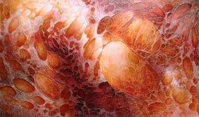 Narnia #2 by Heather Stevens Weese 