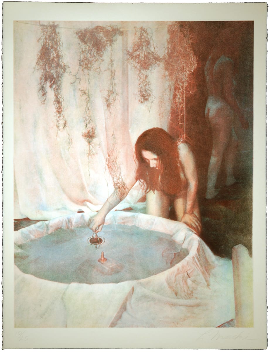 Rose Water Journey by Lisa Mackie, Image 1.