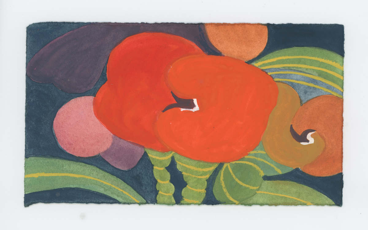 A Euphorbia, #1714, Image 1.