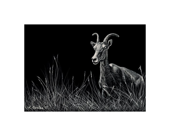 The Lookout by Lonetta Avelar, Image 1.
