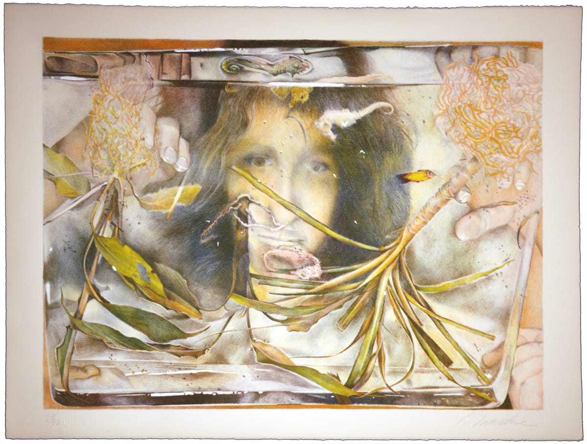 Forest Water by Lisa Mackie, Image 1.