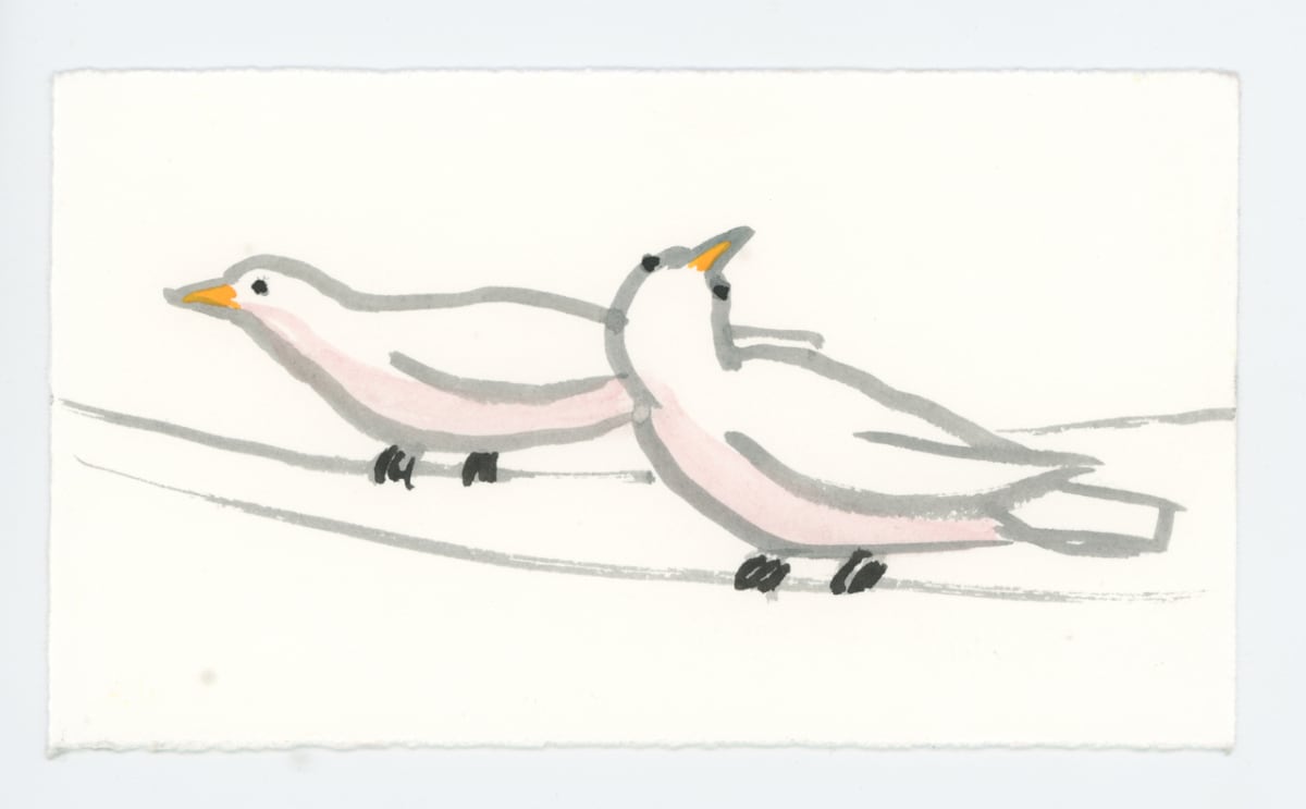 Two Birds on the Wires, #1658 
