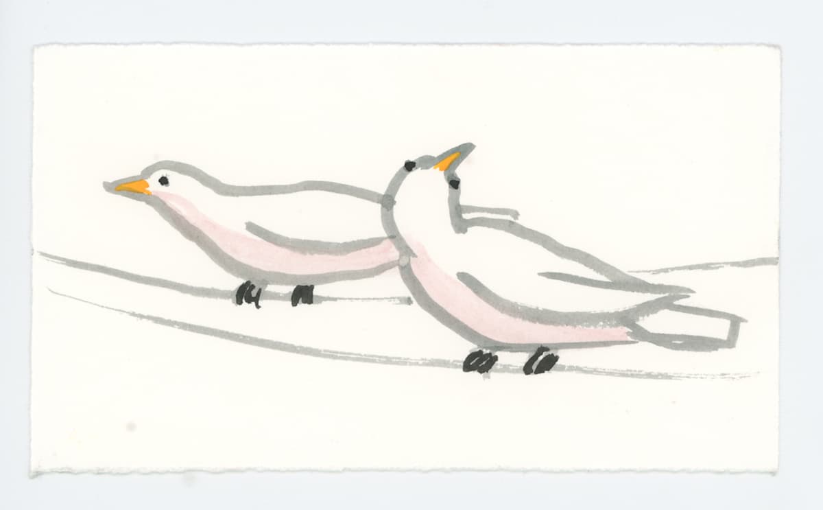 Two Birds on the Wires, #1658, Image 1.