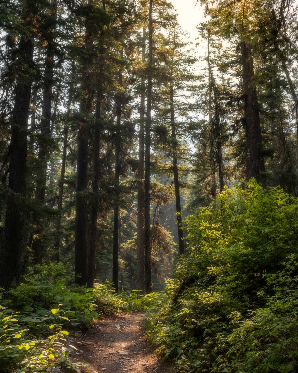 Morning Glow by Brett Pierce 