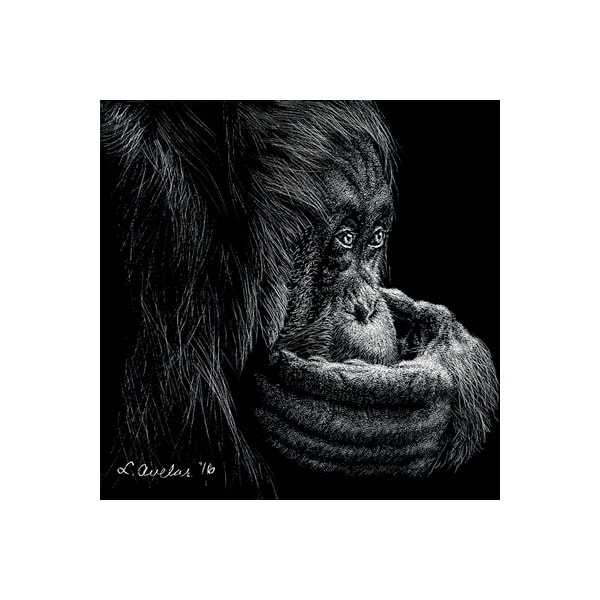 Uh Oh by Lonetta Avelar, Image 1.