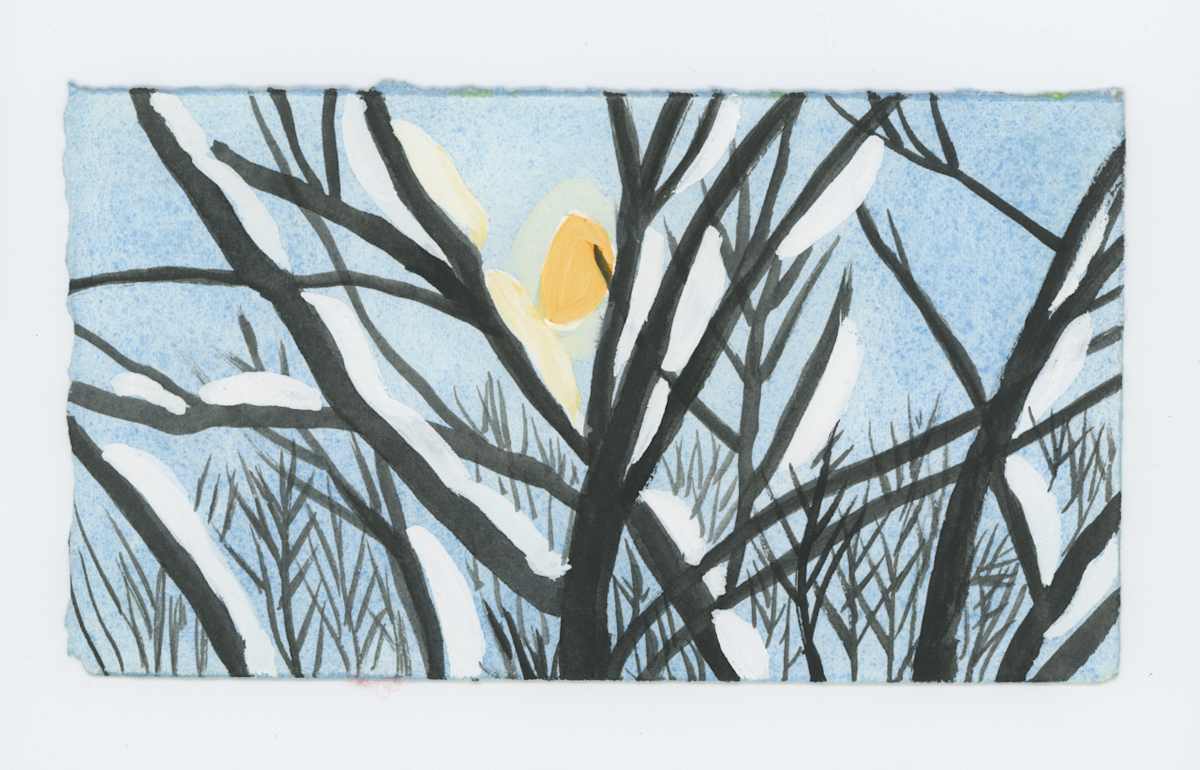 Some Snow on the Branches, #1856, Image 1.