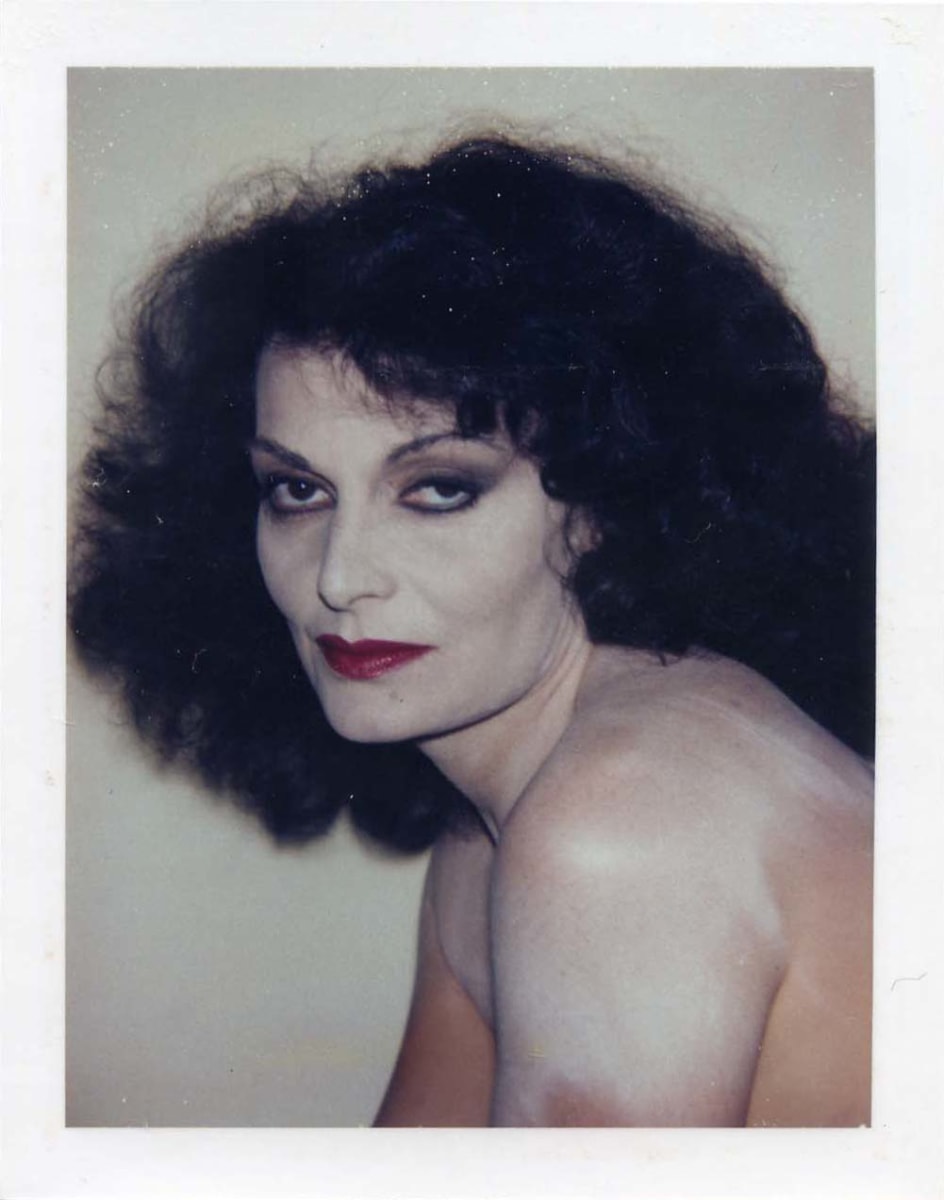 Diane Von Furstenberg by Andy Warhol 