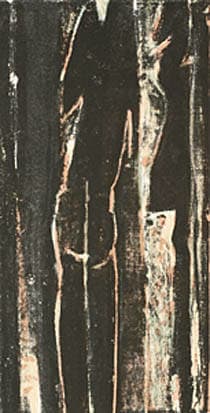 In the Wood, A glow by Will Petersen, Image 1.