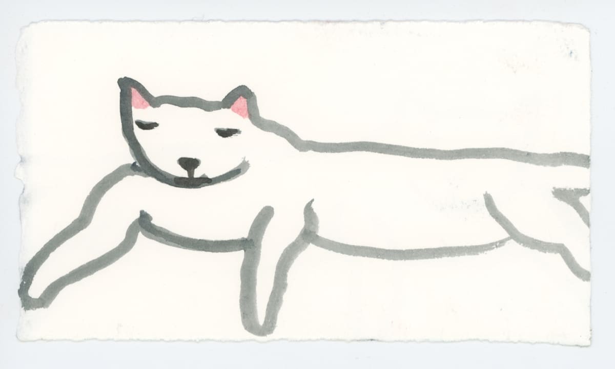 Cat, #1655, Image 1.