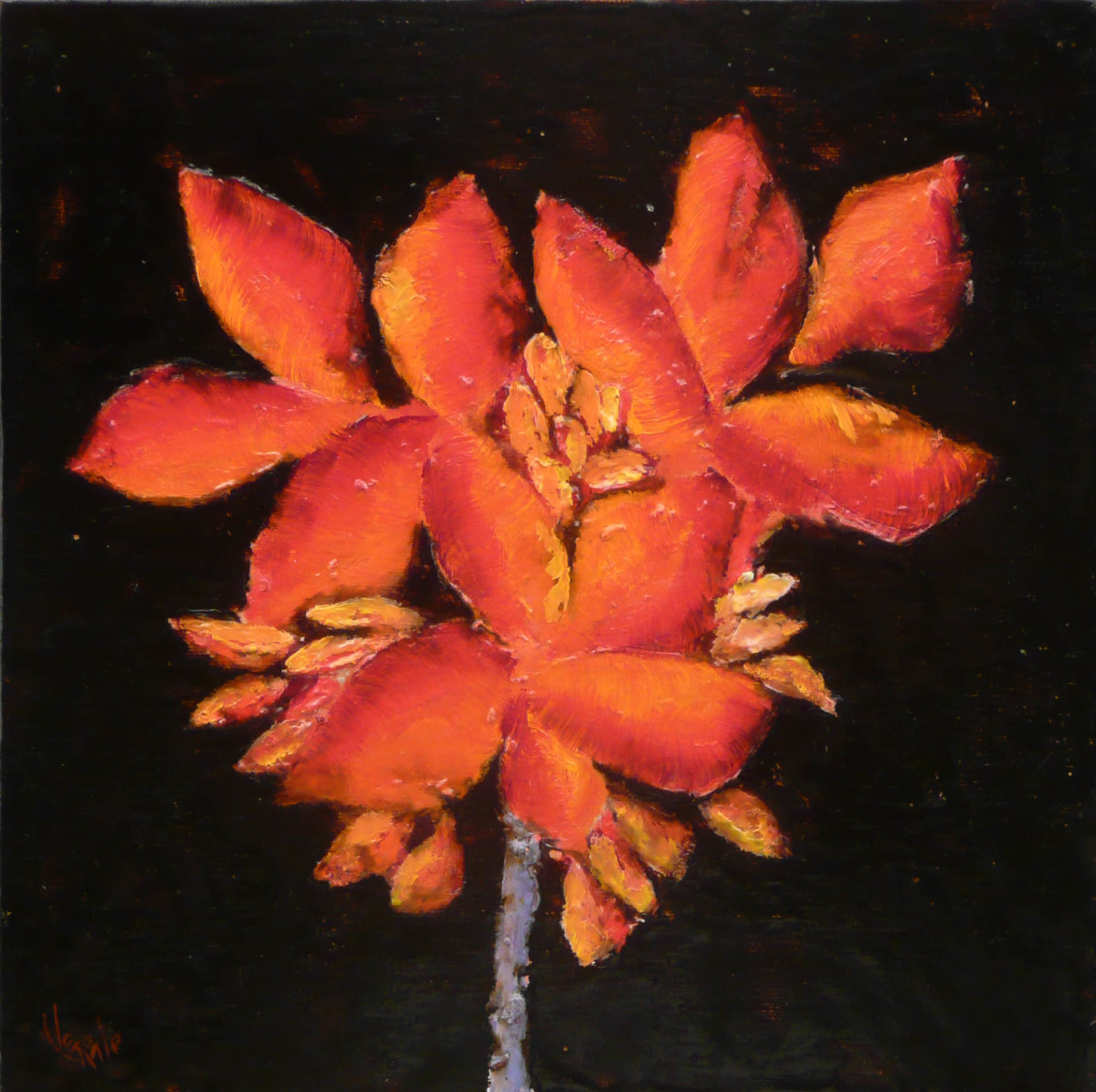 Flower without Vase by Clemente Mimun 