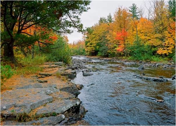 Rippling Water by Kornelius Schorle 