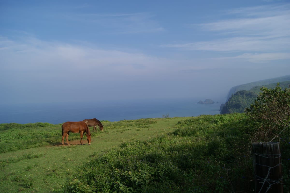 Mountain and Sea by Xin Ma, MD 