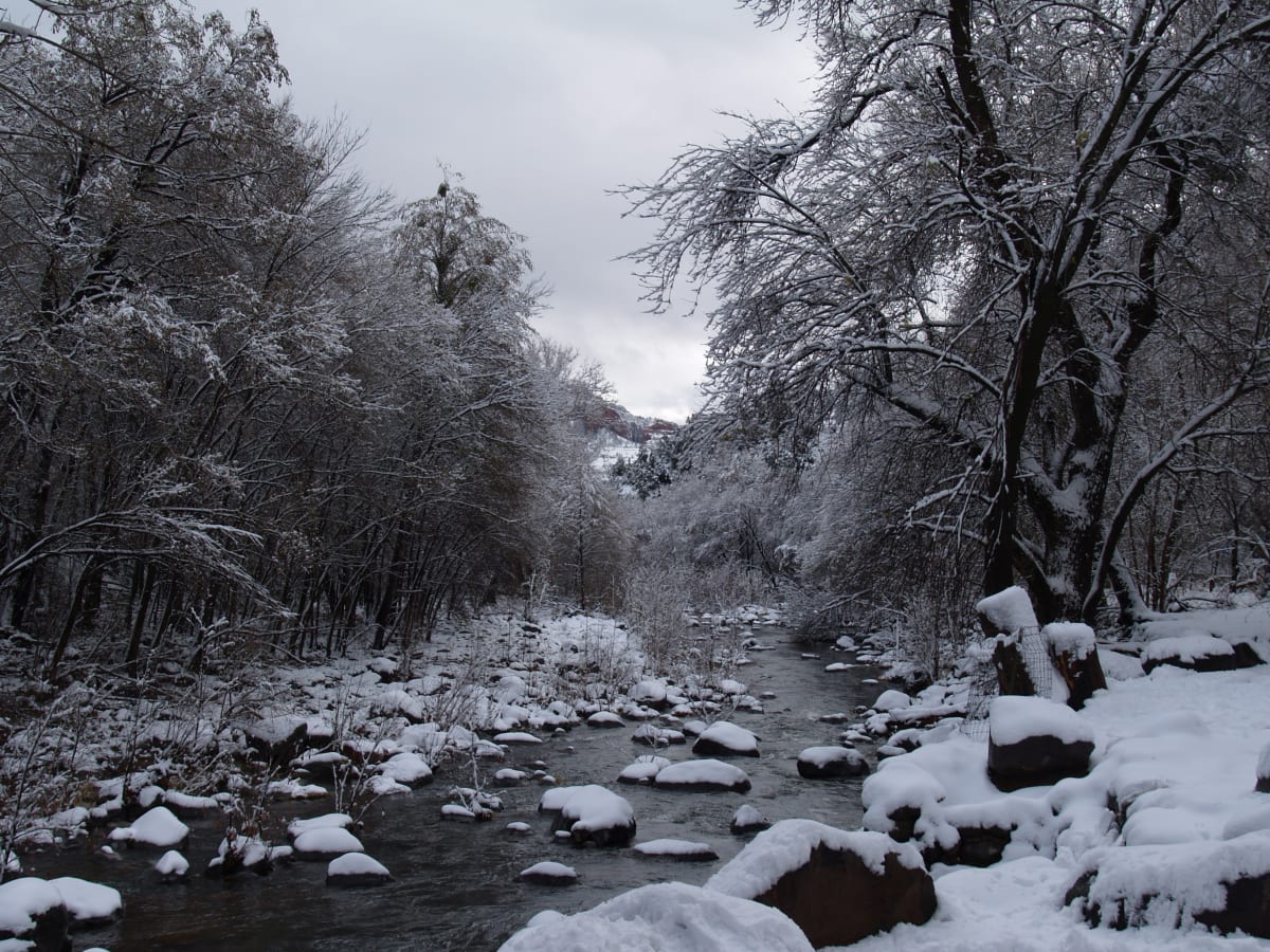 Winter's Calm by Mei-Ying Jue 