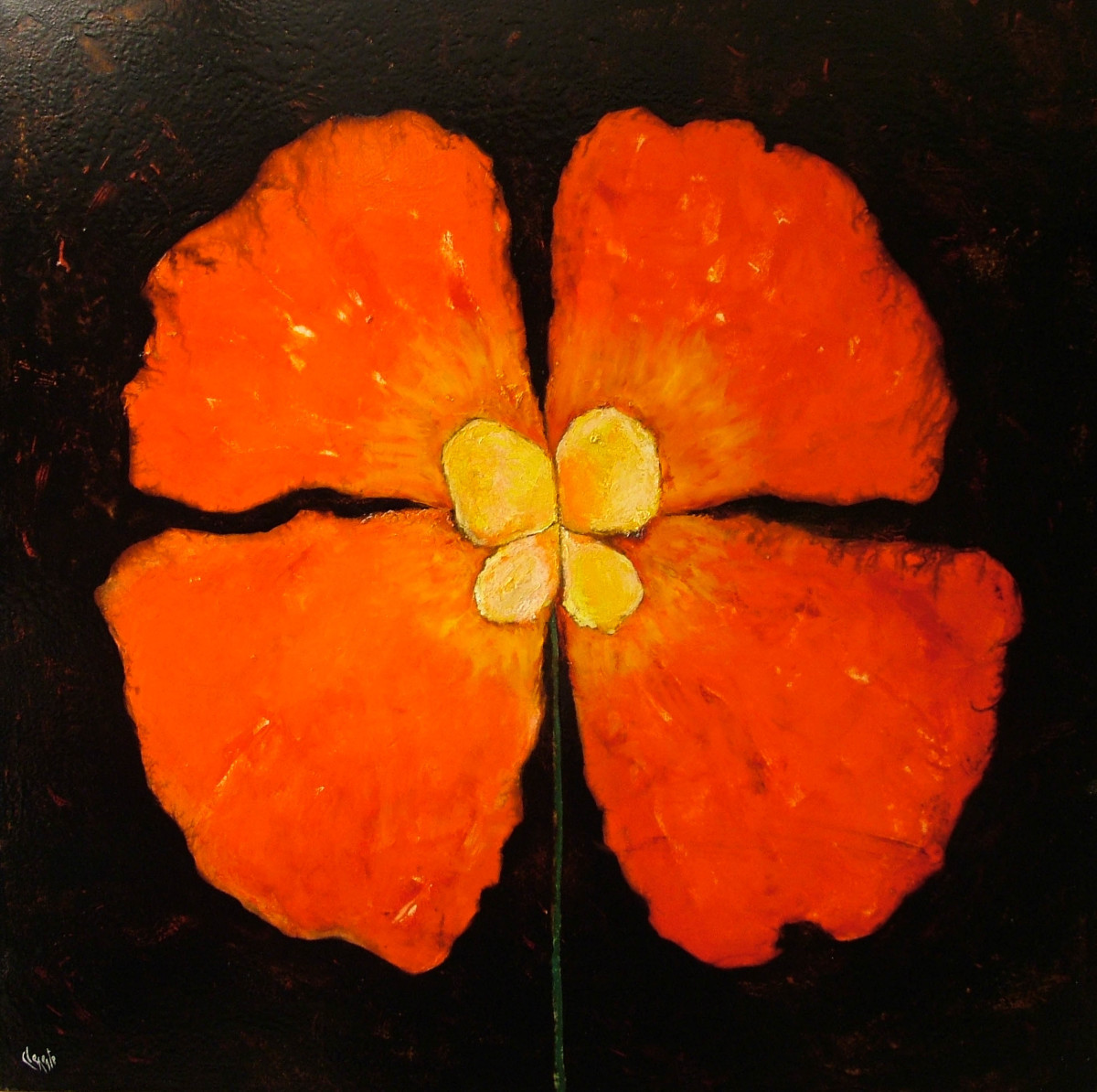 Red Flower by Clemente Mimun 