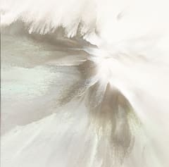 Splendor by Linda Bailey  Image: Splendor