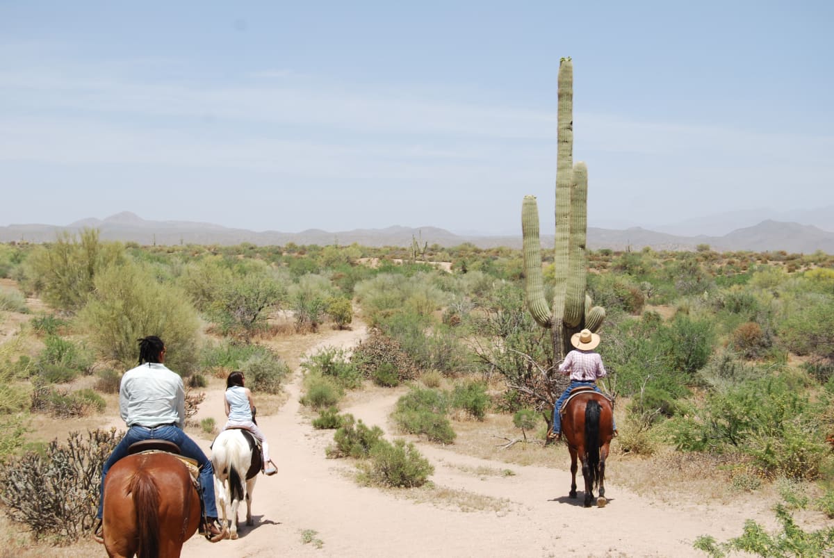 Arizona Trail Ride by Glenecia "Necie" Green, Image 1.