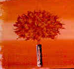 113-F02 by Clemente Mimun 