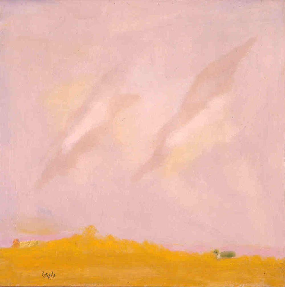 Florida Flat #132 by Clemente Mimun 