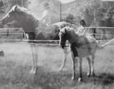The Equestrian by Ansley West, Image 1.