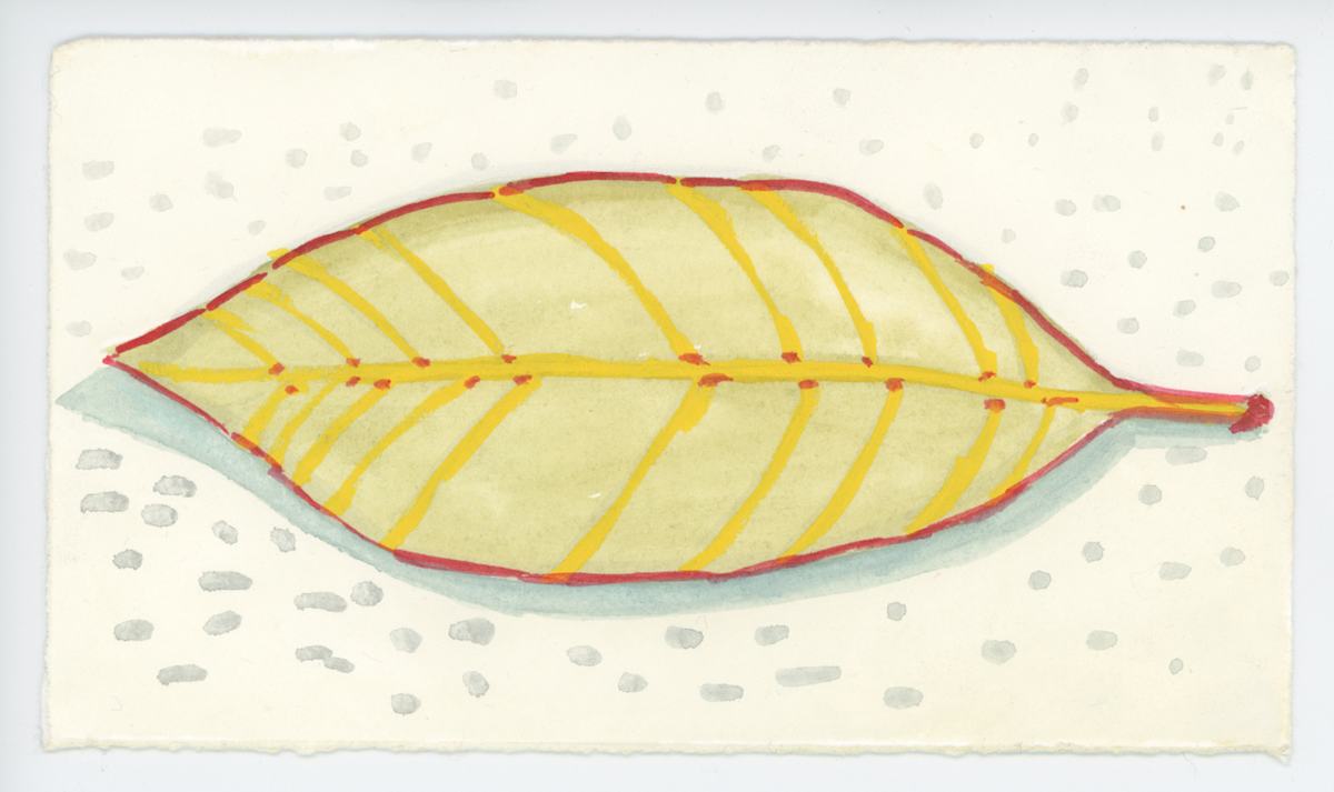 A Magnolia Leaf, #1589, Image 1.