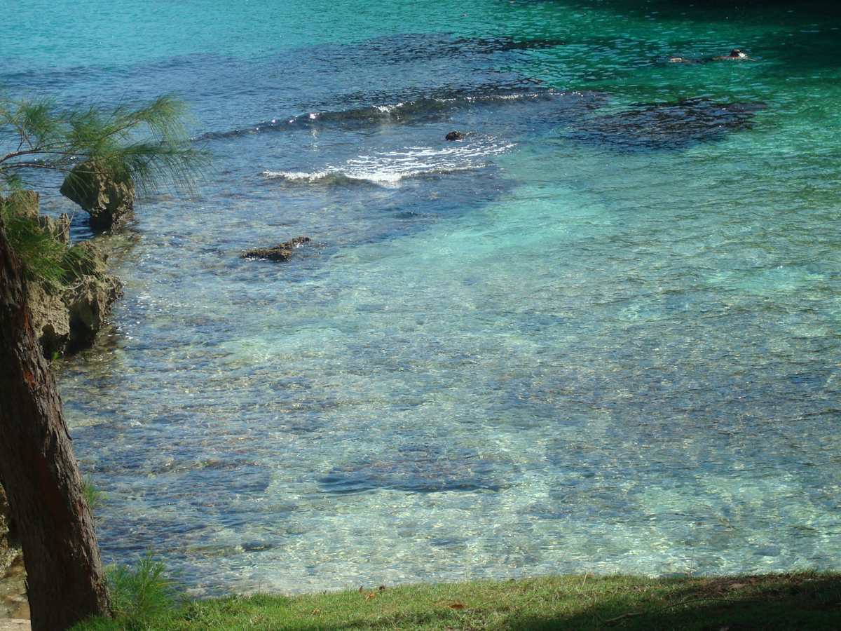 Changing Tides by Francia Marshall, Image 1.