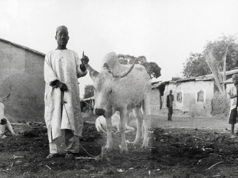 Masou Gembe by Roby Greenwald 