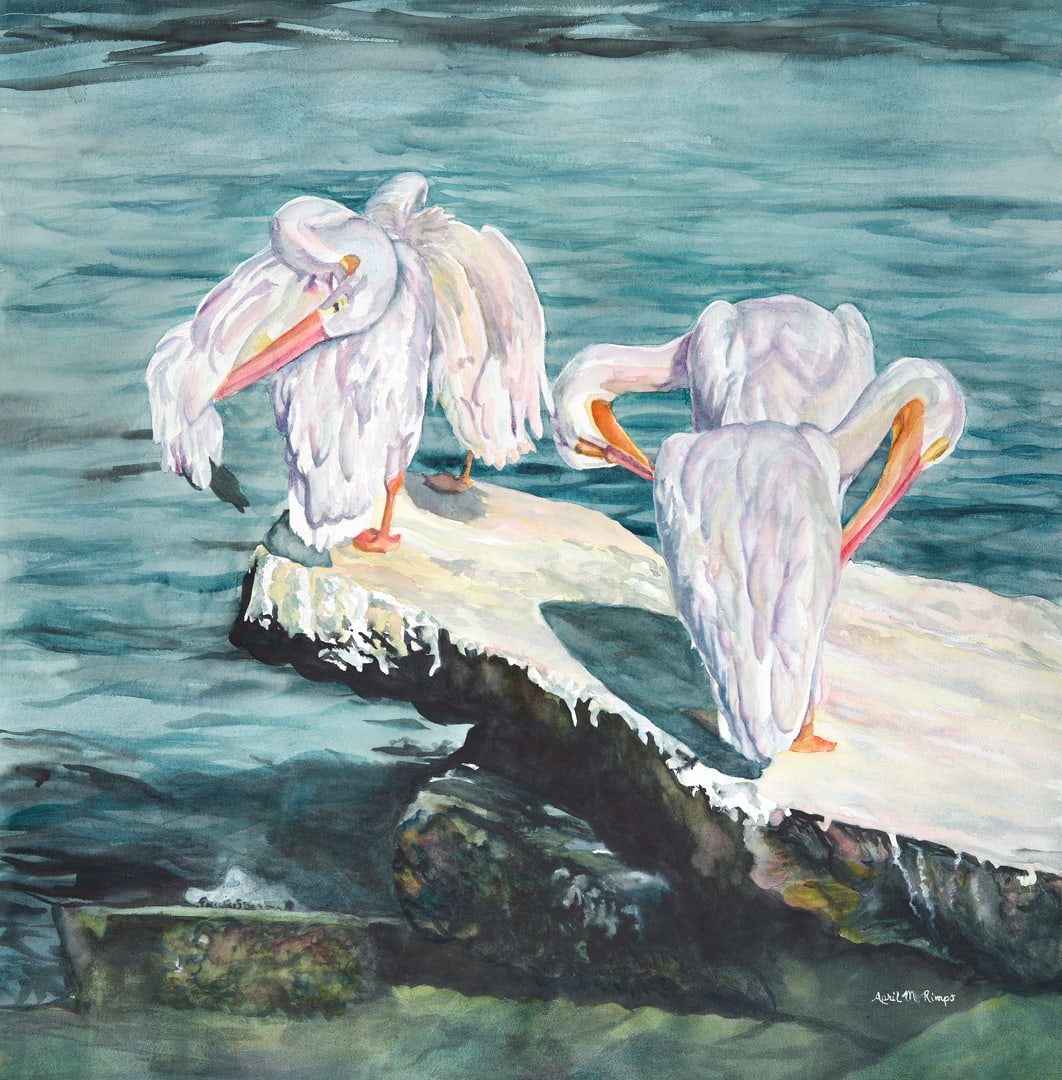 Pelican Yoga by April Rimpo, Image 1.