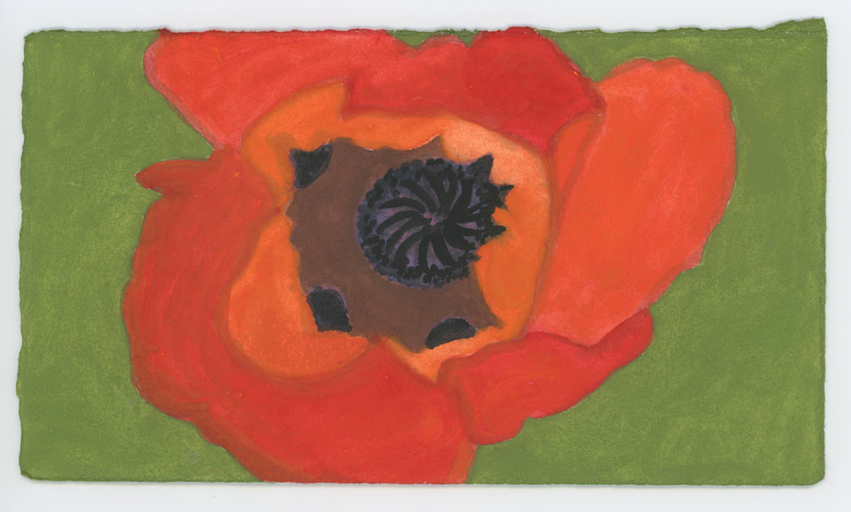 A Poppy, #1628, Image 1.
