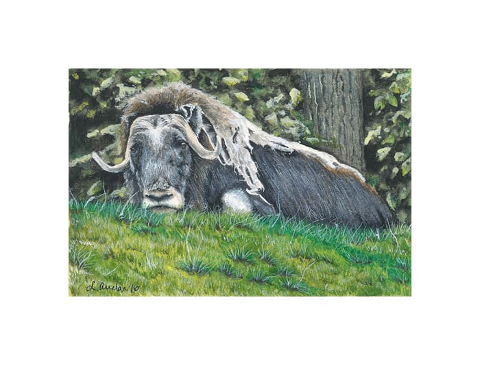 Grassy Repose by Lonetta Avelar, Image 1.