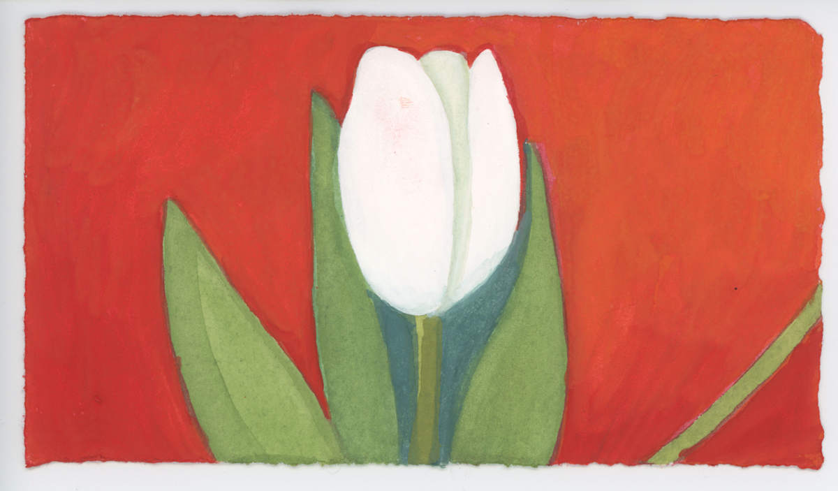 A Tulip, #1584, Image 1.
