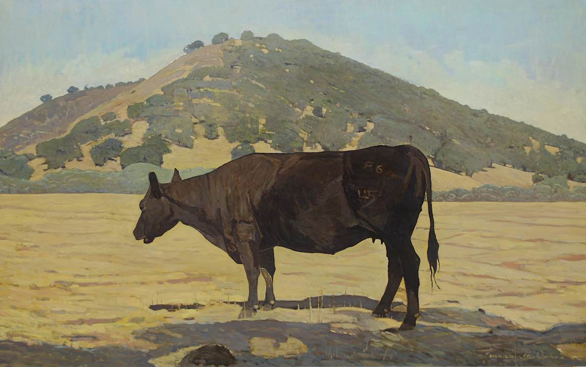Angus by Mark Kerckhoff, Image 1.