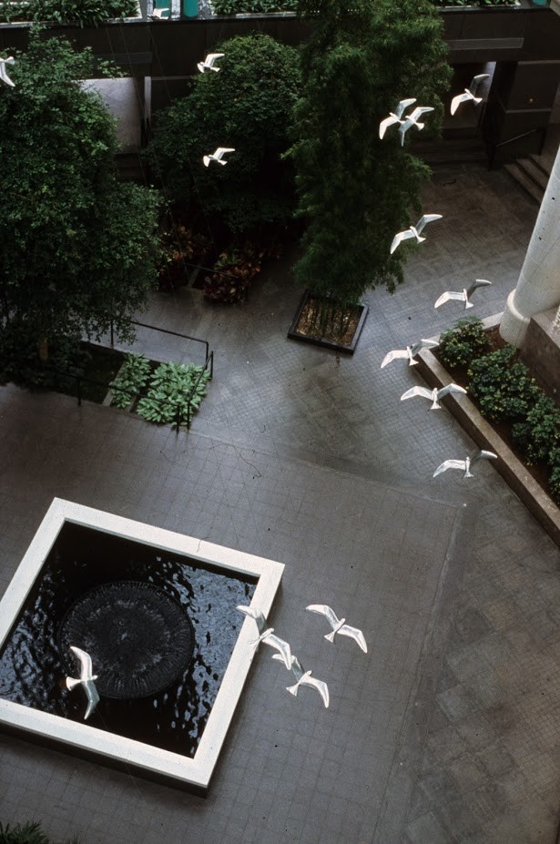 Soaring by David Landis 