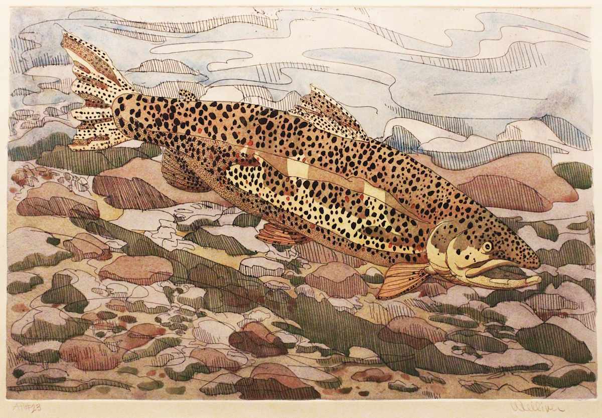 Brown Trout by Neil G. Welliver, Image 1.