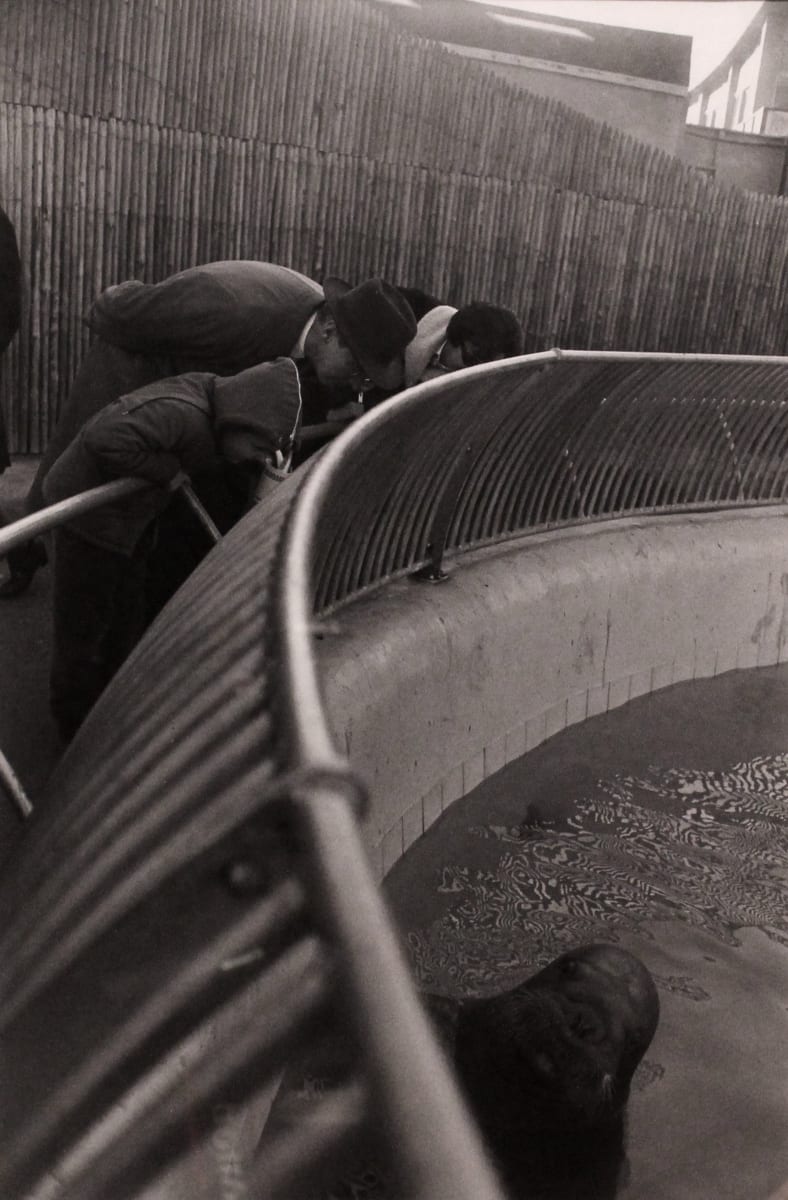 New York City, 1964, from Garry Winogrand portfolio by Garry Winogrand 