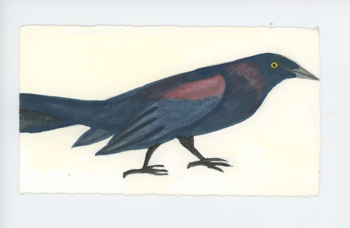 Grackle, #1751 