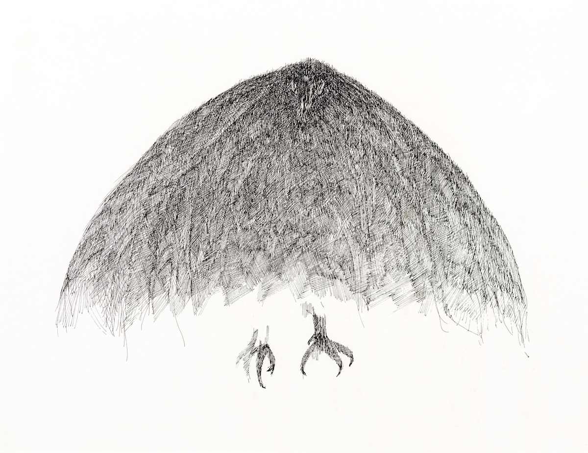 Bird by Herb Jackson, Image 1.